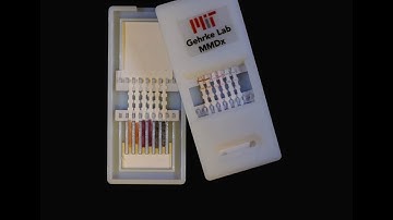 Paper-based test can quickly diagnose Ebola in remote areas