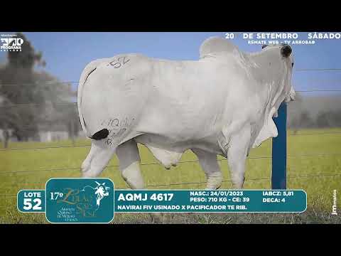 LOTE 52   AQMJ 4617