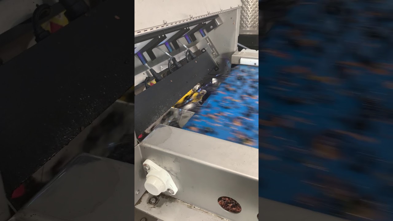 Optical Berry Sorting YouTube