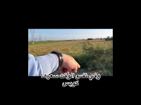 فرصه 5 افدنه زراعي للبيع امام مدينه المنصوره الجديده وعلي الطريق الدولي الساحلي شاهد الان