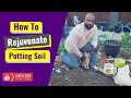 How To Rejuvenate Potting Soil