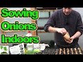Starting Onion Sets In Modules