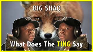 Big Shaq - What Does The TING Say? (Man&#39;s Not Hot x The Fox)