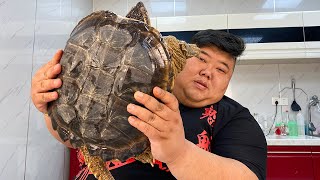 20 ekor penyu gertakan, saudara monyet, dan perut babi direbus dalam panci, aromanya melimpah!