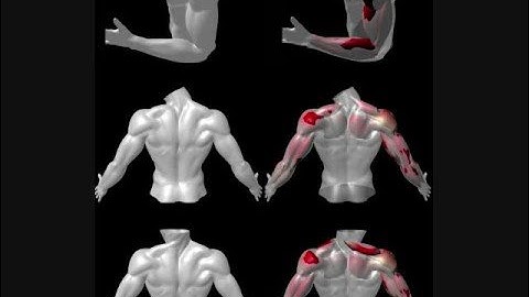 ISSAC web Commercial