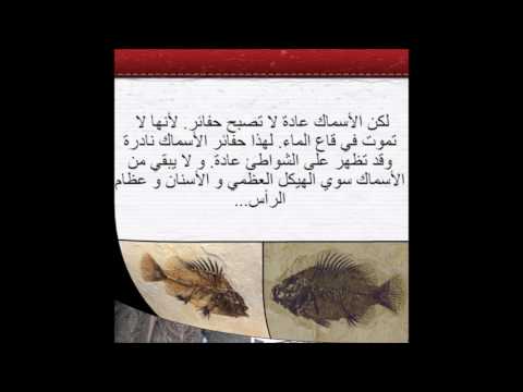 بحث حول المستحثات
