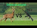 Охота на косулю с сайги TG-2 366ткм.