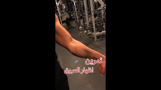 ازاي تطلع عروق جسمك بدون روت 💪🏻🔥 .