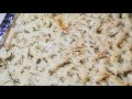 Focaccia Bread - Rosemary, Garlic and Herbs #focaccia #howtomakefocaccia #breadrecipe