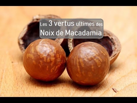 Vidéo: À quoi servent les noix de macadamia ?