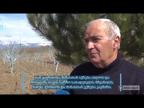 ზურაბ ტურაშვილი - ვერხვების დევნილთა დასახლება