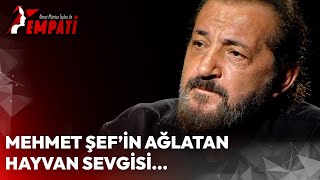 Mehmet Şef'in Ağlatan Hayvan Sevgisi... | Ahmet Mümtaz Taylan ile Empati #MehmetYalçınkaya