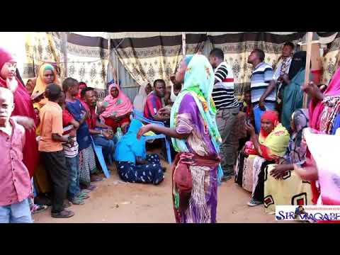 Niiko KALA KACSAN 2020 Subscriber