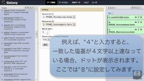 DBCLS Galaxy EMBOSSの使い方～ドットプロット編～