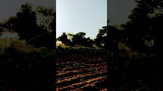 #explore #trending #monkey #ytshorts #love #music #nature #farm #farmer