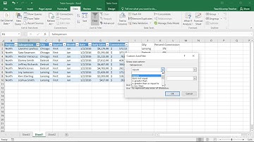 Applying a Custom Auto Filter In Excel