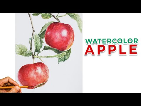 Video #3 How to Paint An Apple with Watercolor | Hướng dẫn... - youtube