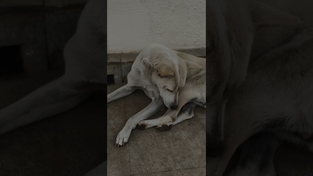 Love at first Ride 😍 