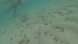 diving near stingray- San Andres Colombia HD 1080p