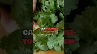This simple green herb removes heavy metals #superfoods #detox #nutrition