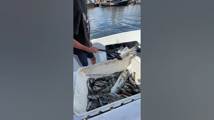 Does Fishing make Money? - DayDayNews
