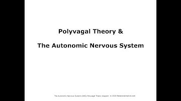 Polyvagal Theory: A 5 minute overview