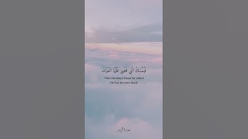 الله يتوفى الأنفس حين موتها والتي لم تمت في منامها [ الزمر - 42 ] القارئ سعود الفايز