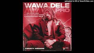 Twenty Fingers - Wawa Dele
