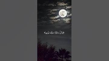 سورة النجم - وأن ليس للإنسان إلا ما سعى