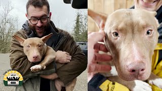 Download Lagu Matilda wobbled into my life and nothing has been the same | The Asher House MP3