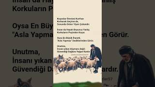 Koyunlar Ömrünü Kurttan Korkarak Geçirse De, Sonunda Onları Yiyen Çobandır