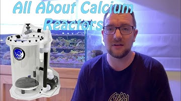 All About Calcium Reactors