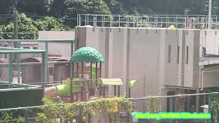 [告別鬼叫煞車時]ISL M-Train(A239/A212)退役後於荃灣車廠解體側線進行拆卸