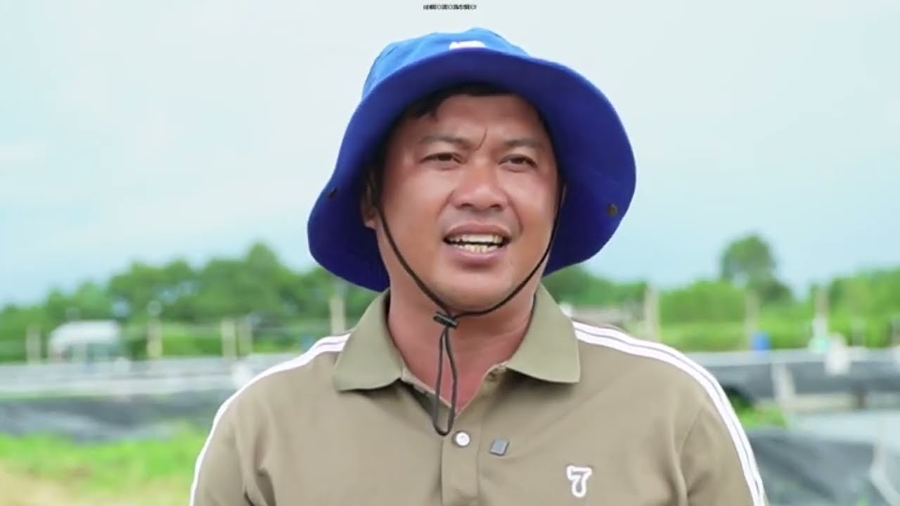 Креветочная индустрия Камау переходит к «зеленому» росту