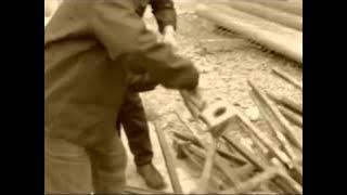 Nicolae Guta - Strainatatea