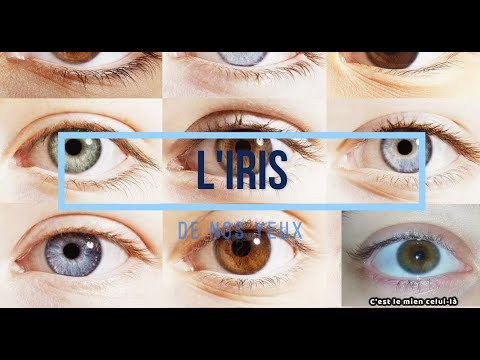 Vidéo: Hétérochromie De L'iris - Glossaire De Termes Médicaux