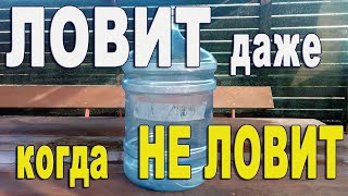 Эта ловушка ловит всё! Водяной уж залез в ловушку для живца из 19-ти литровой бутылки для кулера