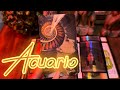 Acuario| se terminan las dudas!, procesó de unión con tu persona ♥️