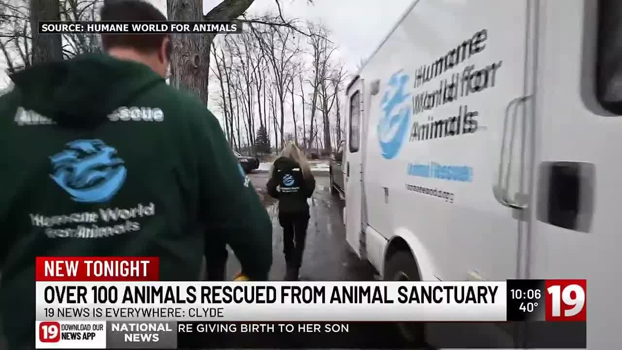 More than 100 animals rescued from animal sanctuary - YouTube