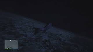 How far down can a fish swim
