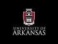 University of Arkansas - 2017 Graduate School Commencement