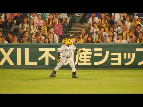 阪神タイガース2017/トラッキーが大地に耳を傾ける(2017.09.13)
