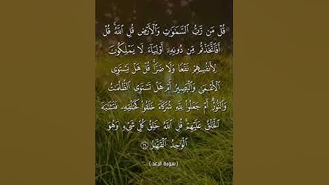 ما تيسر من سورة الرعد للقارئ /سراج الدين محمد