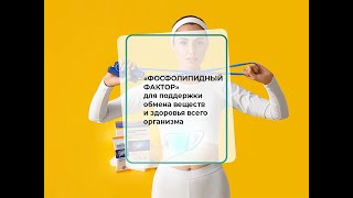 картинка: «Фосфолипидный фактор» для поддержки обмена веществ и здоровья всего организма