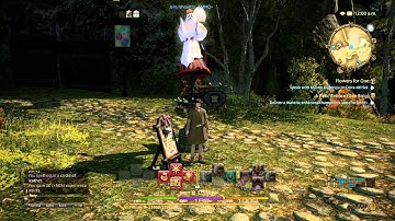 FFXIV Bloopers I