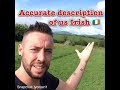 Accurate Description Of Us Irish