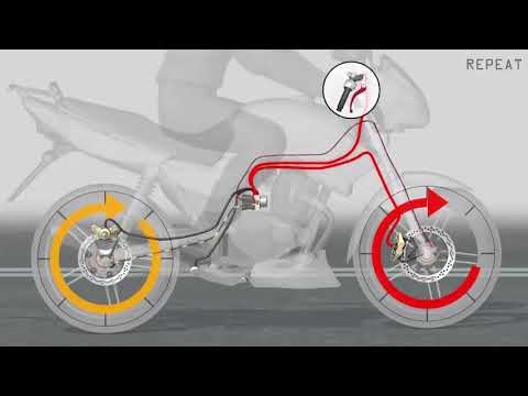 MOTOREPORT - SISTEMA