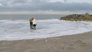 Lake Erie seiche draws visitors to Maumee Bay State Park