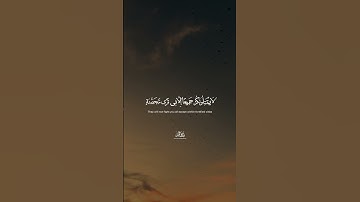 🌿 آية قصيرة من سورة الحشر | تلاوة مؤثرة بصوت طارق محمد