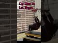 #shorts | #thrilling | Zipline at "Fly Linq zipline, Las Vegas"